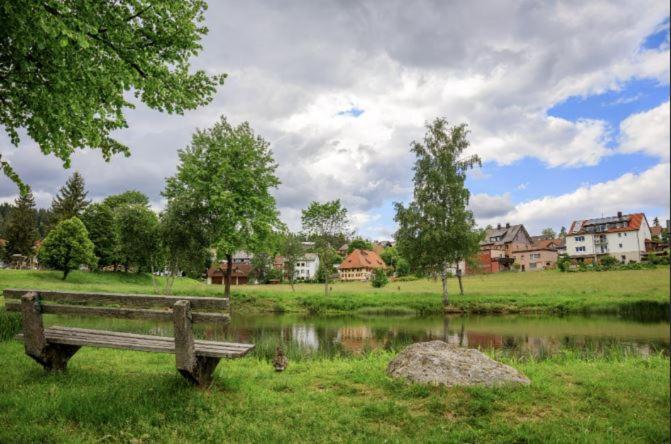 Living Timeless- Black Forest Style- Schoenwald Екстер'єр фото