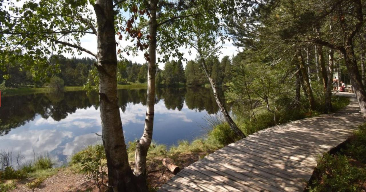 Living Timeless- Black Forest Style- Schoenwald Екстер'єр фото